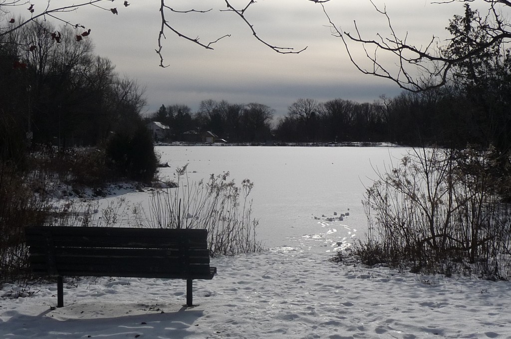 Frozen lake