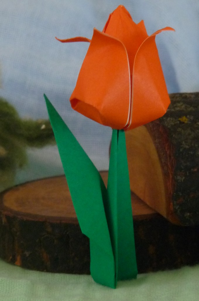 origami tulip