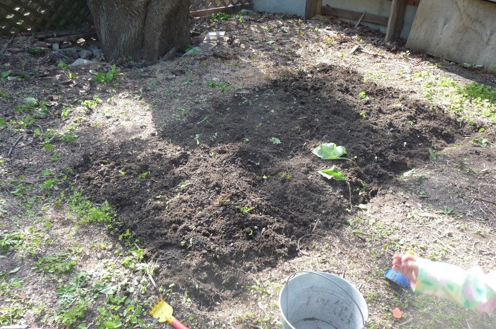 veg bed