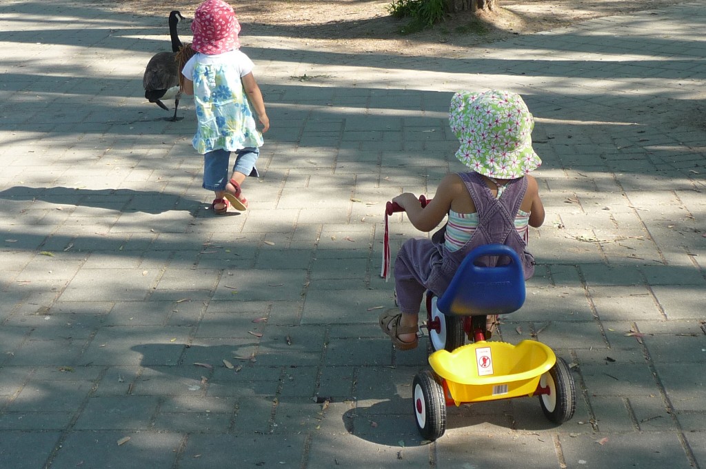 Riding the tricycle
