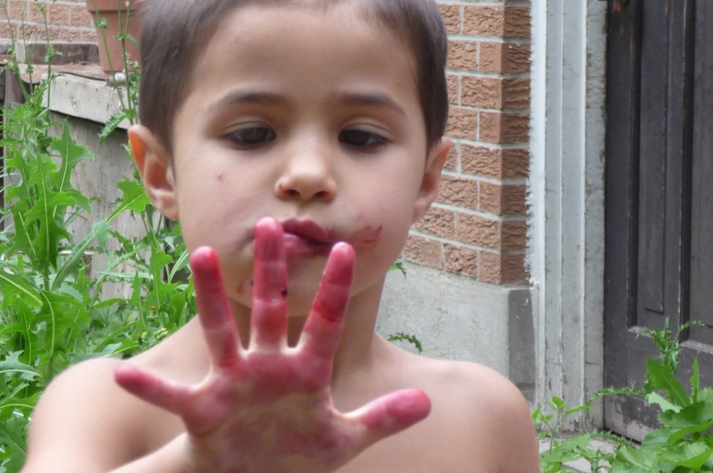 raspberry face