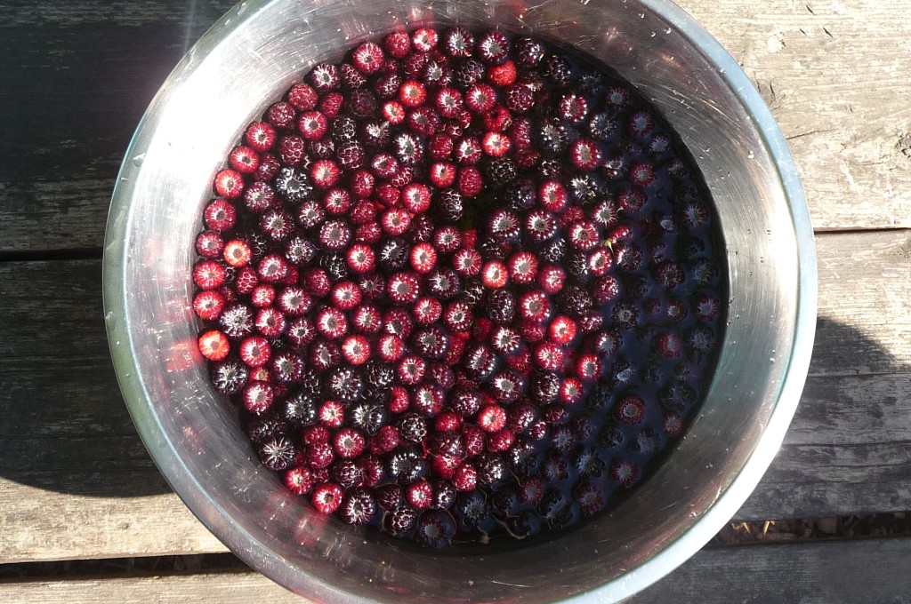 raspberries in the bath