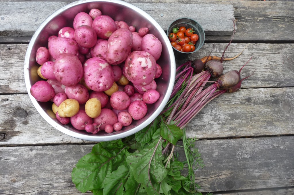 Harvest