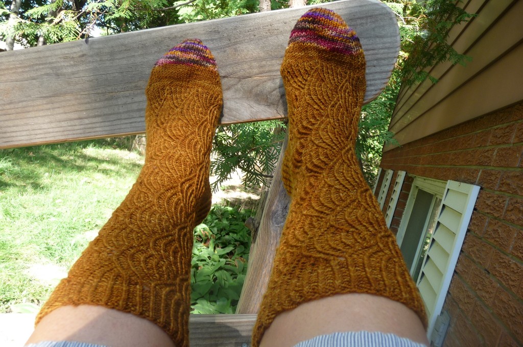 pomatomus on feet