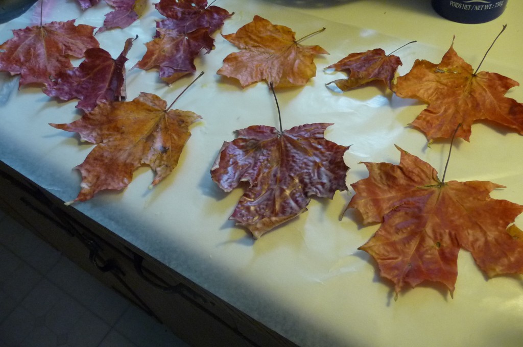 beeswax coated leaves