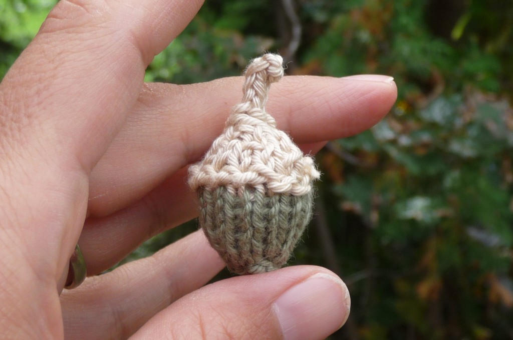 one little acorn