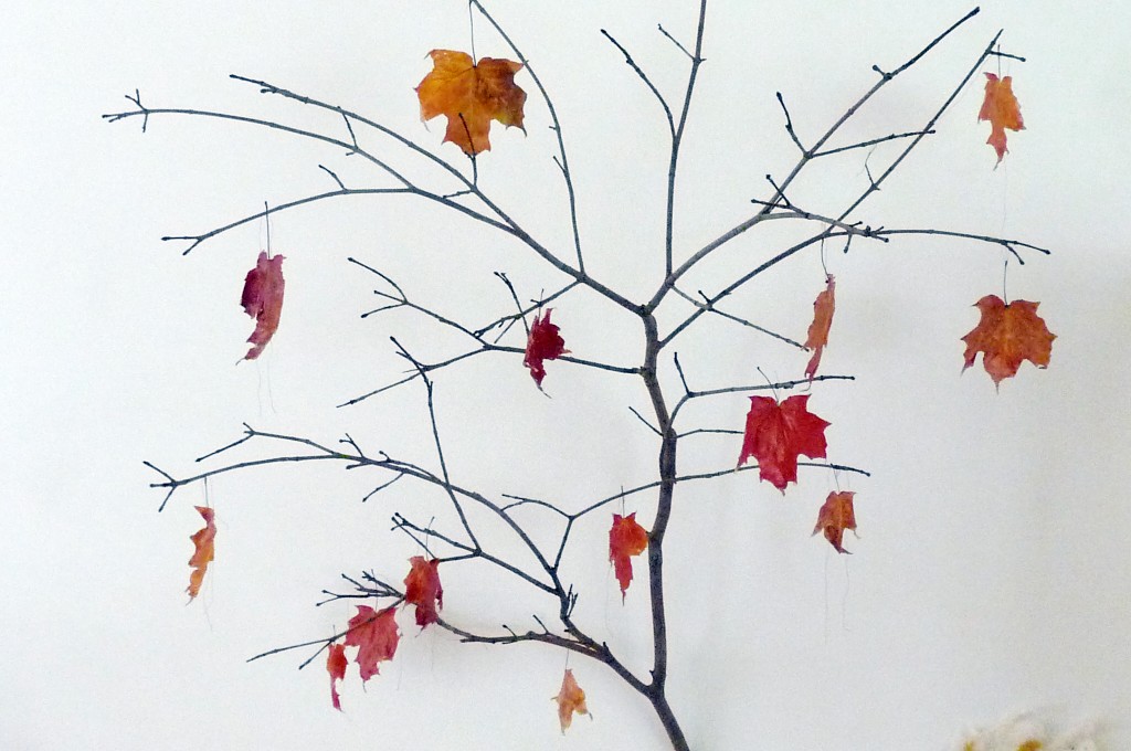 Nature table branch