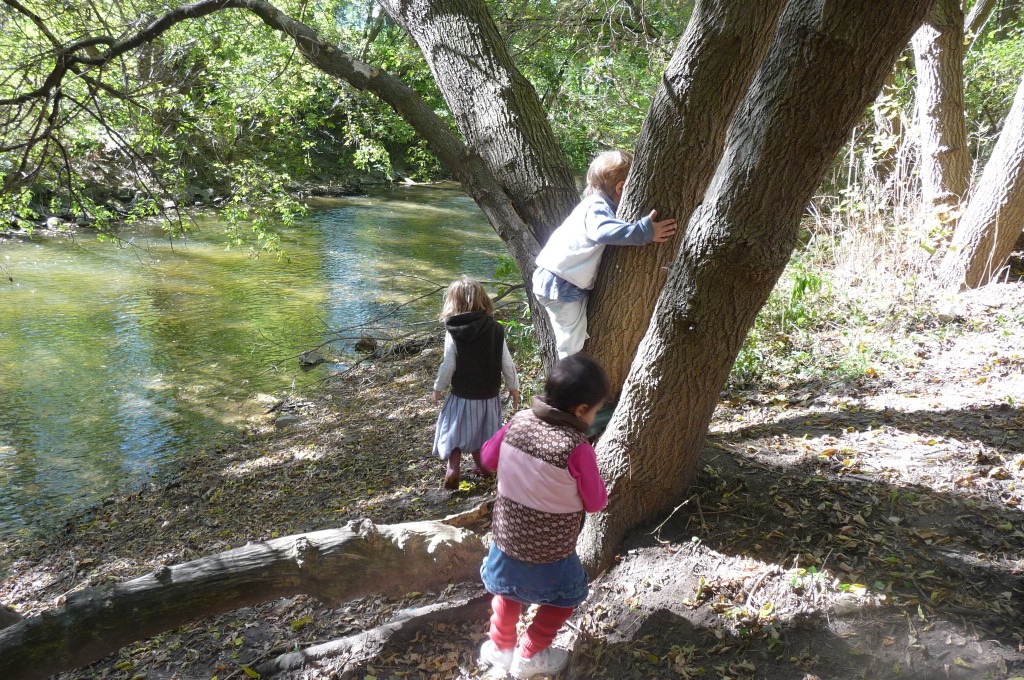 precious friendship, beautiful setting