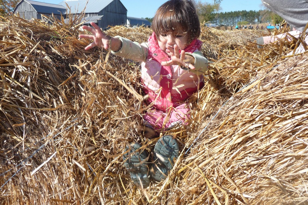 Hay bale