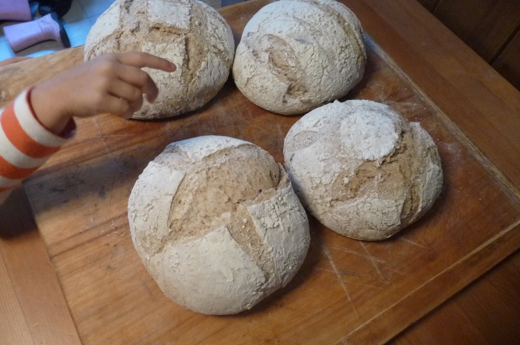 we also baked some bread