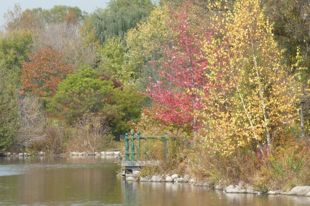 autumn colours