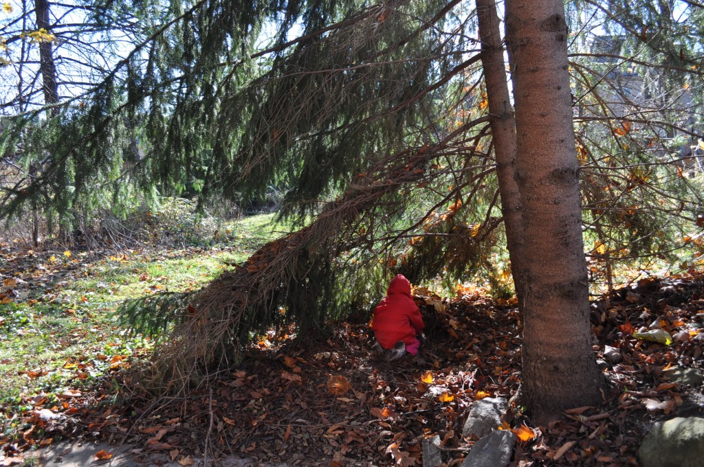 building the fairy house