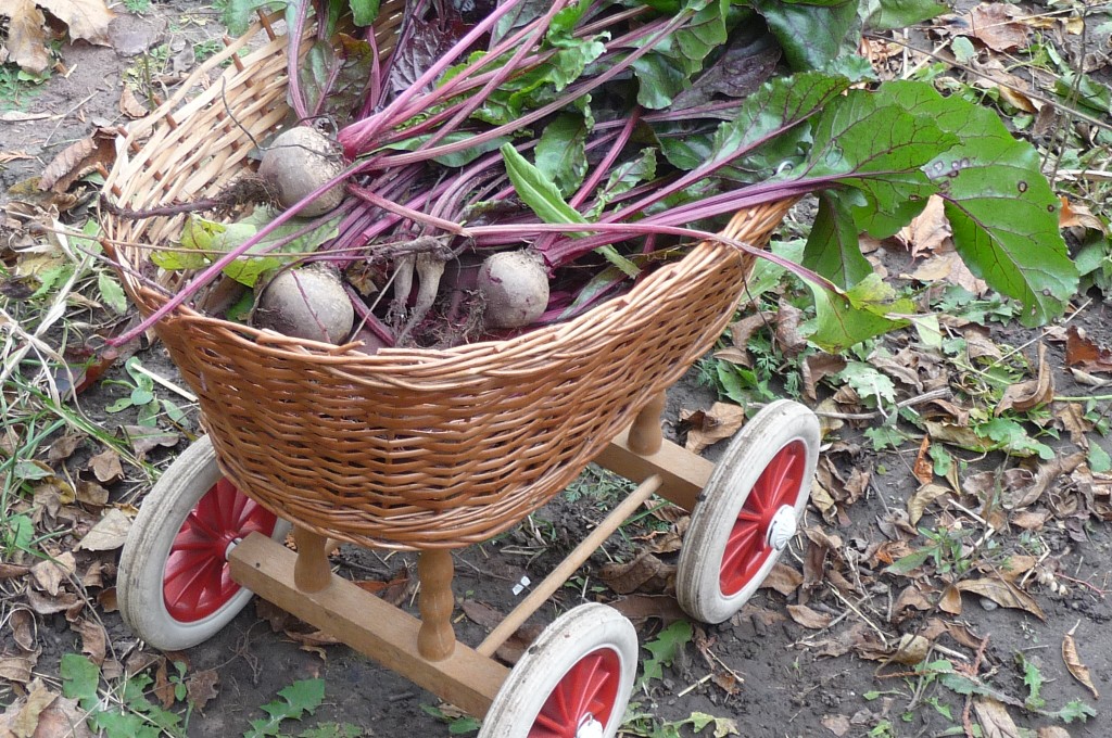 beets