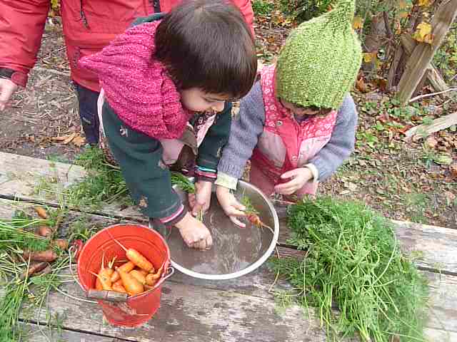 washing carrots