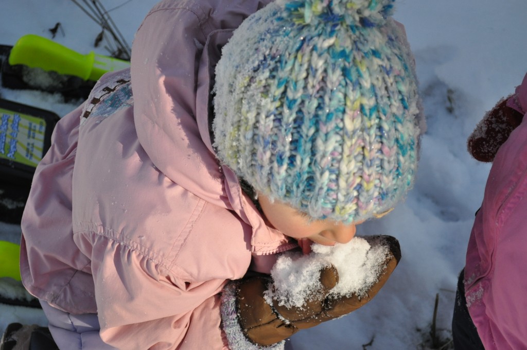 snow eater
