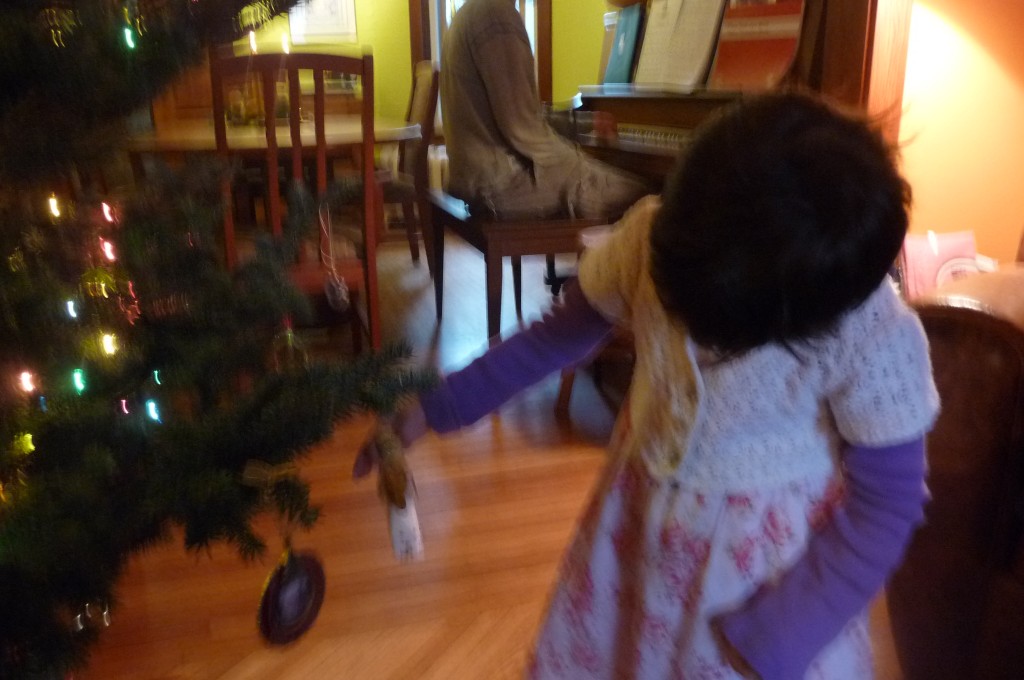 decorating the Christmas tree