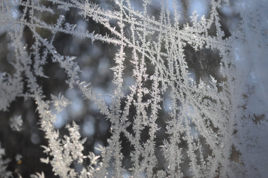 frost