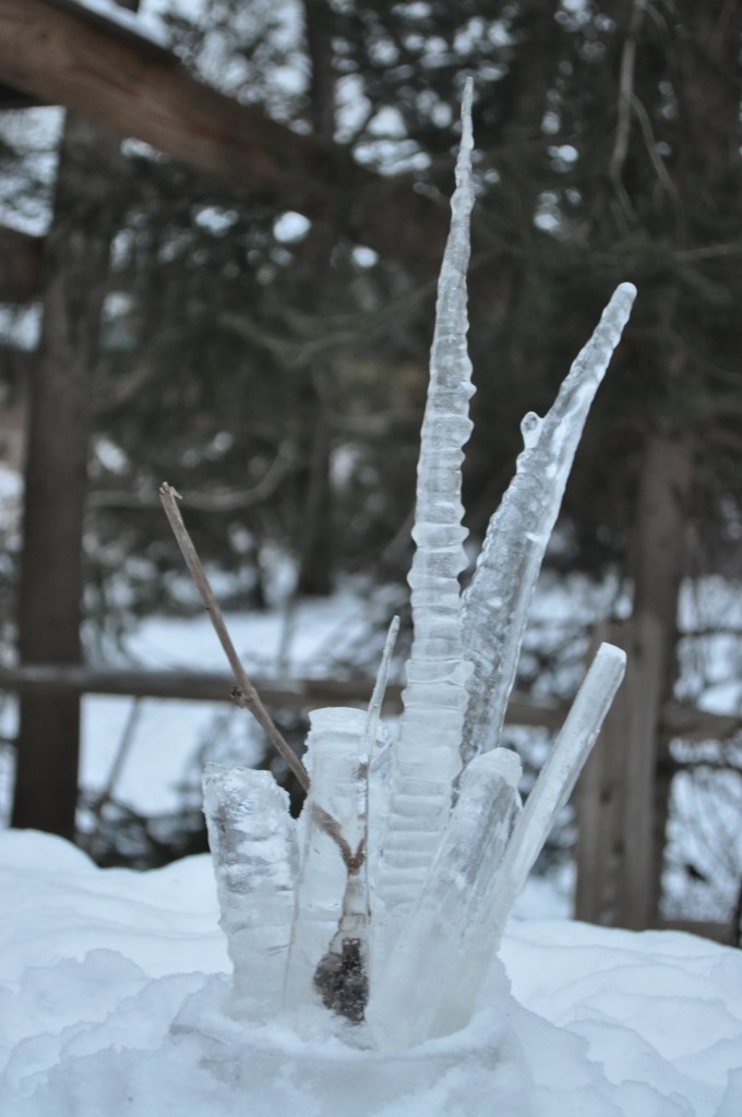 ice sculture