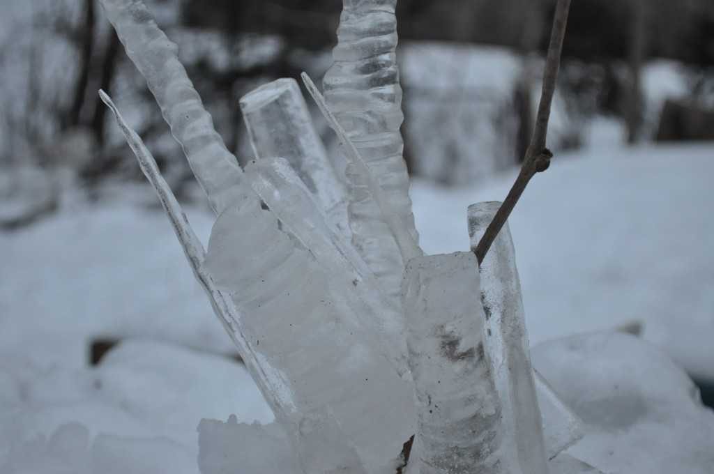 ice sculpture