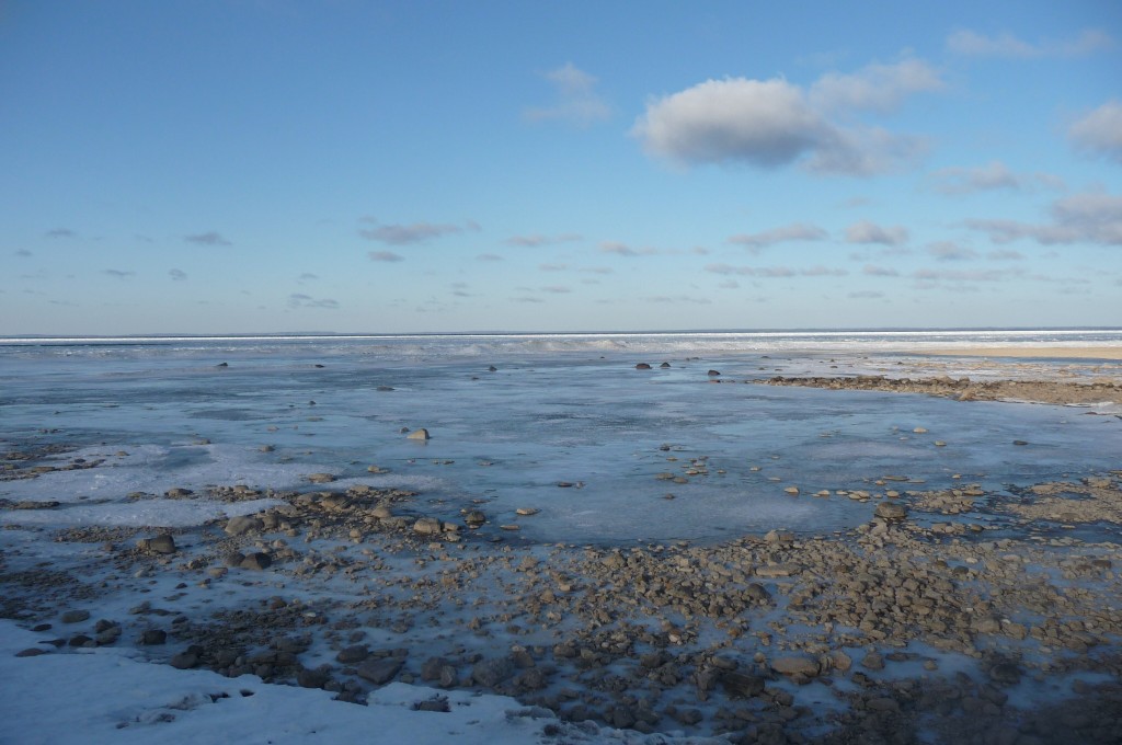 frozen bay