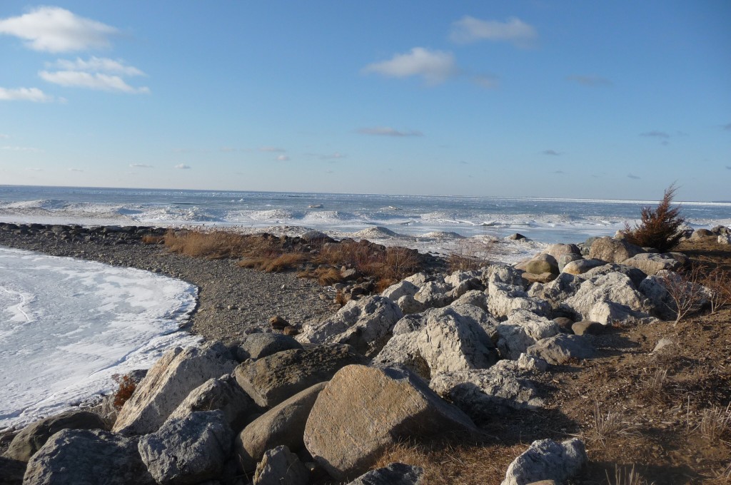 frozen bay