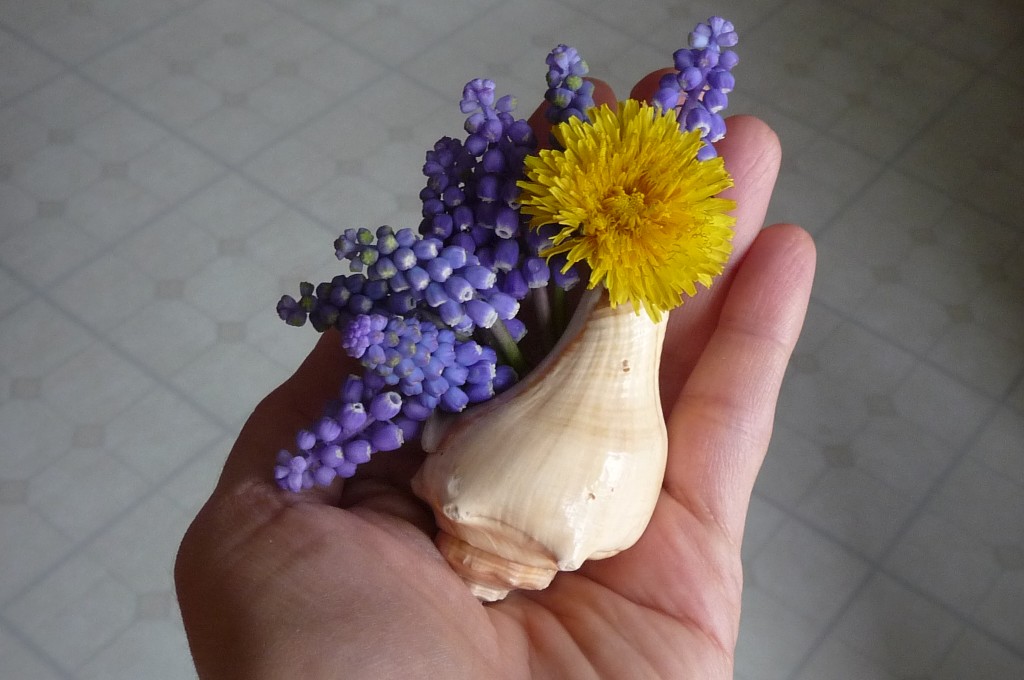 Shell vase