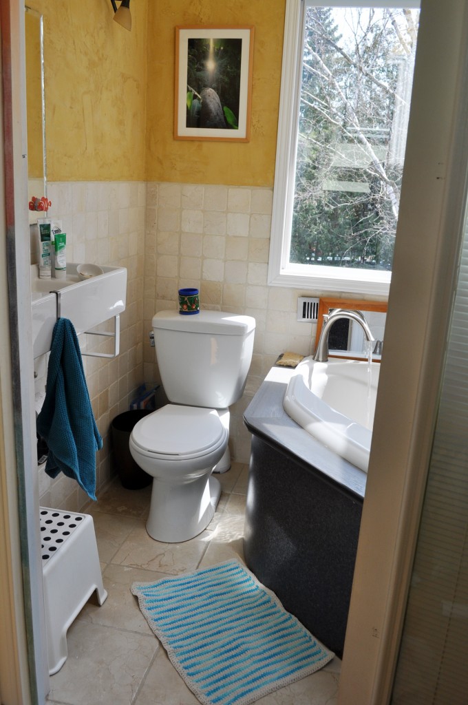 bathroon mat