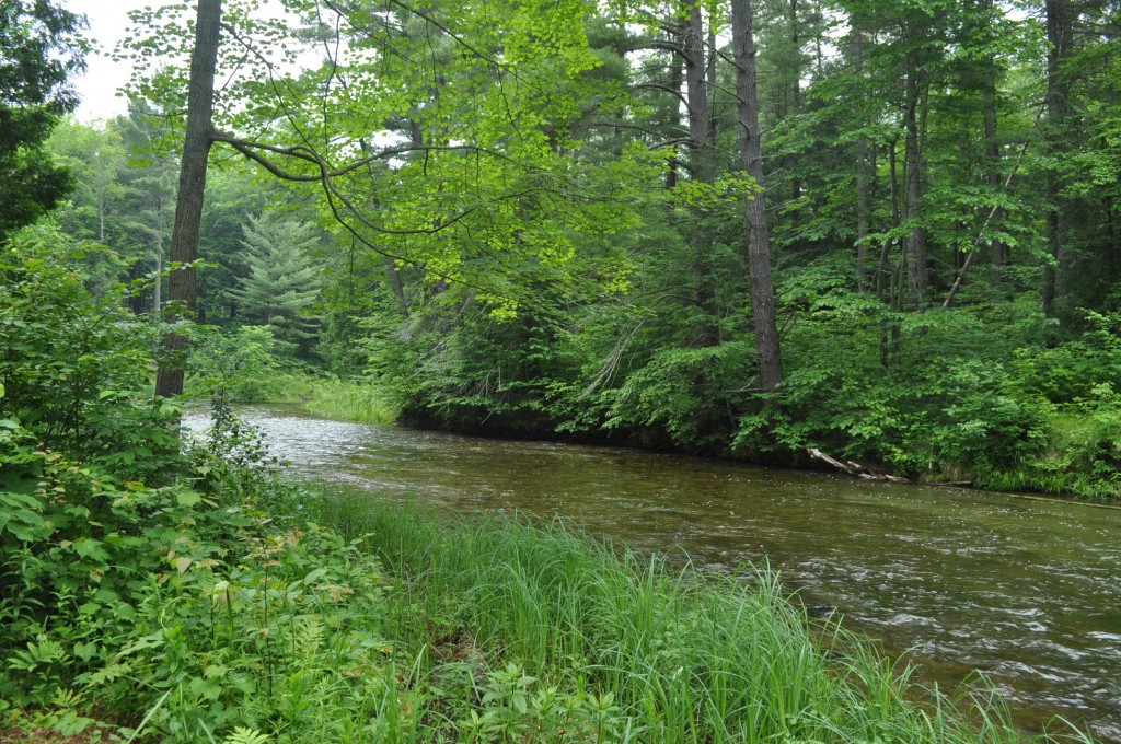 beautiful river