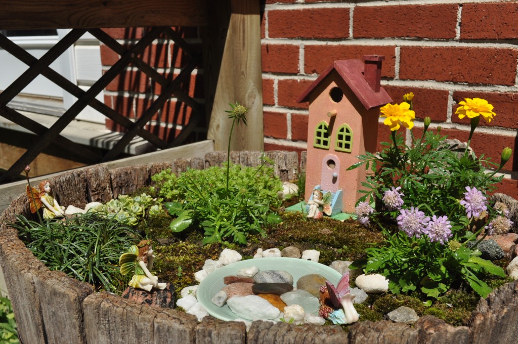 fairy garden1