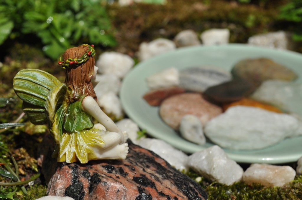 fairy garden 2