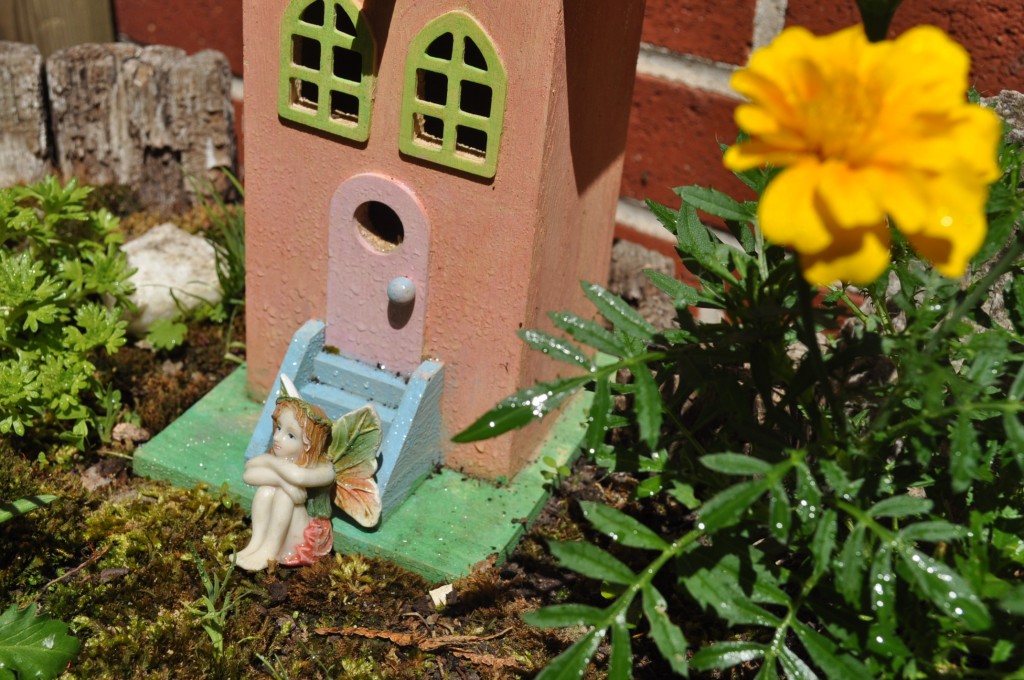 fairy garden 4